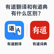 为什么有道翻译词典在2026年适配了折叠屏的分屏功能?