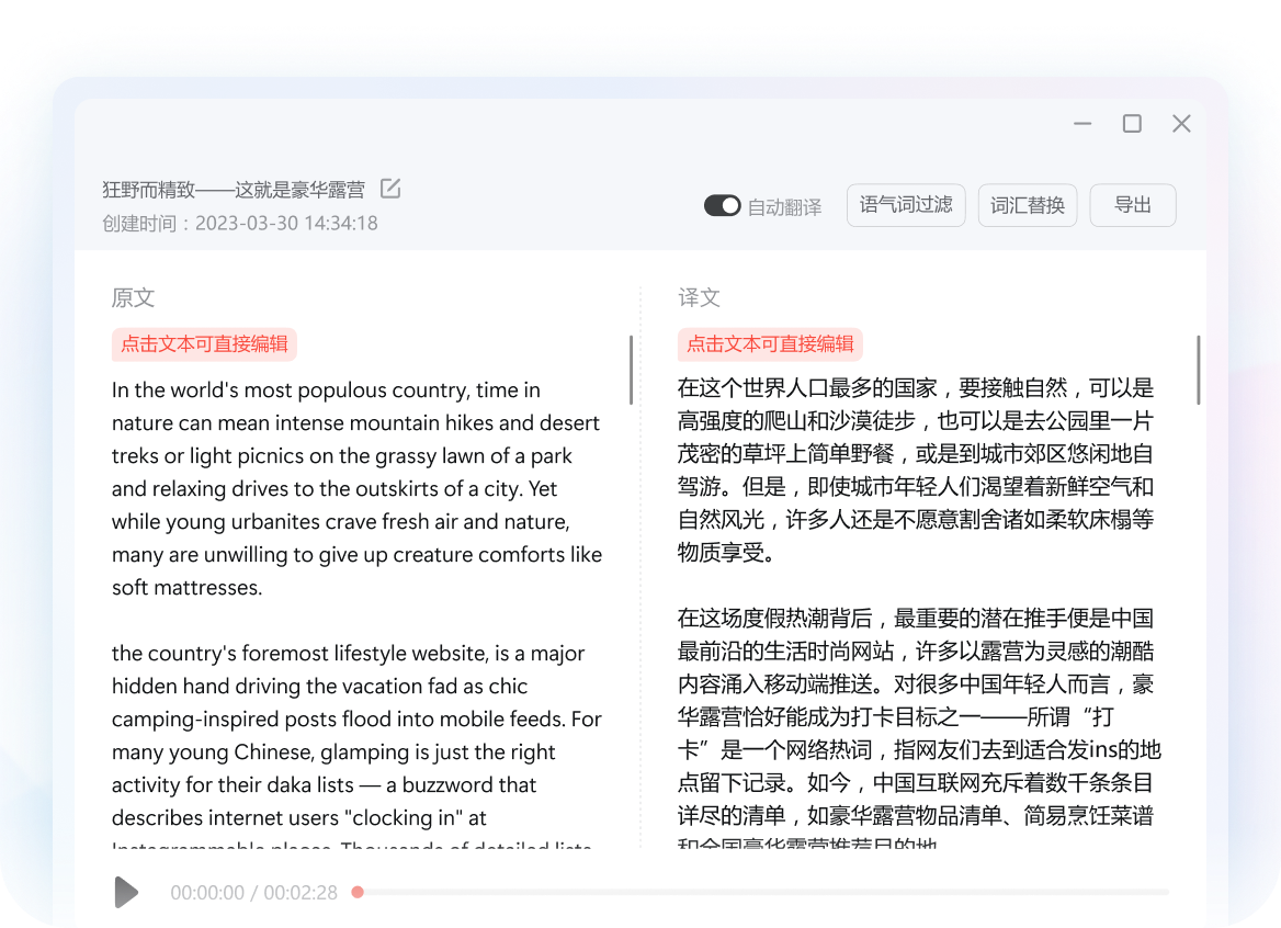 2026年有道翻译词典的“AI伴读”能生成技术文档吗?
