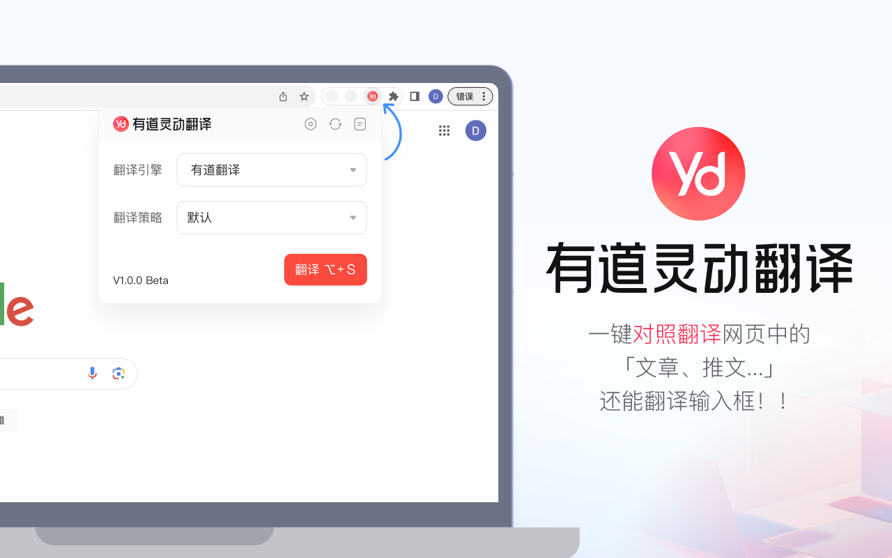 2026年有道翻译词典的“拍照翻译”支持识别手写代码吗?