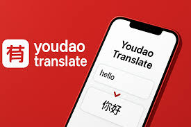 2026年有道翻译的“智能对话”能模拟签证面试吗?